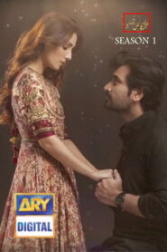 Meray Paas Tum Ho: Season 1